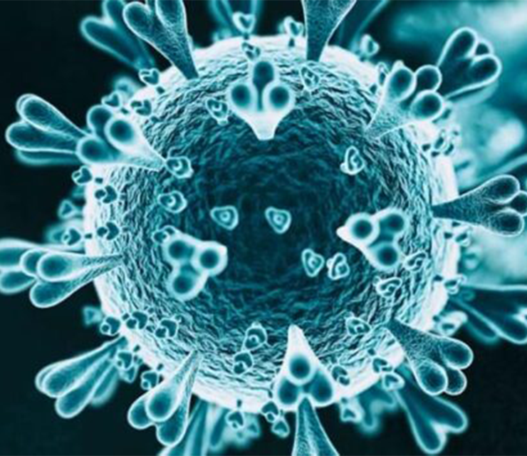 A graphic illustration of the COVID virus