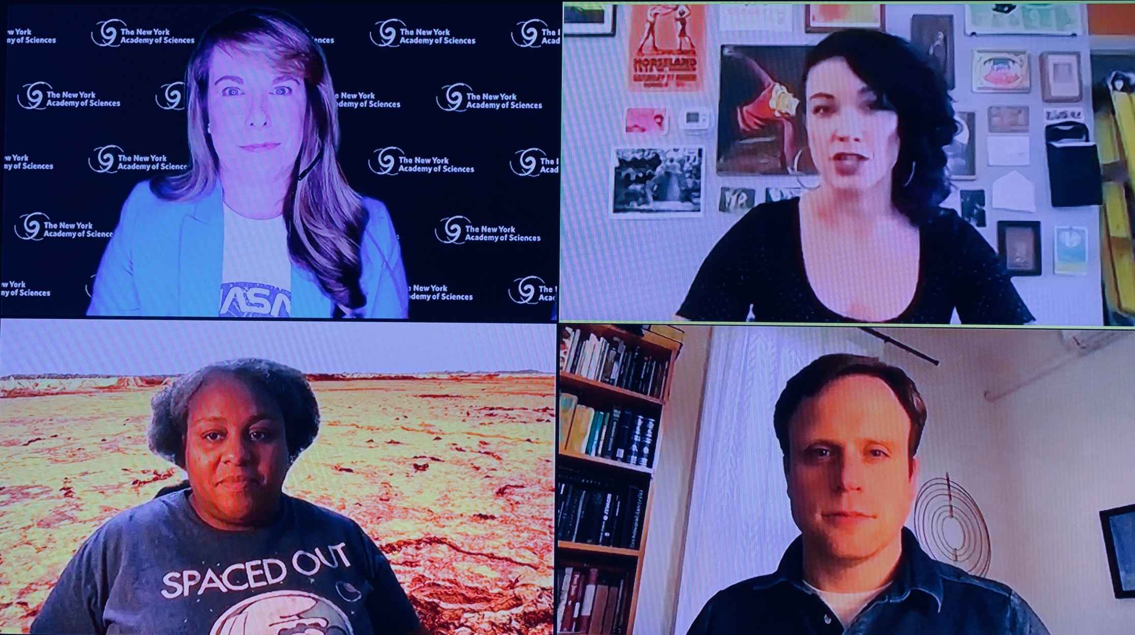 A screenshot from a virtual meeting.