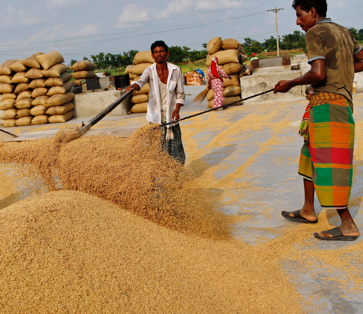 Workers handling grain and other agricultural products.