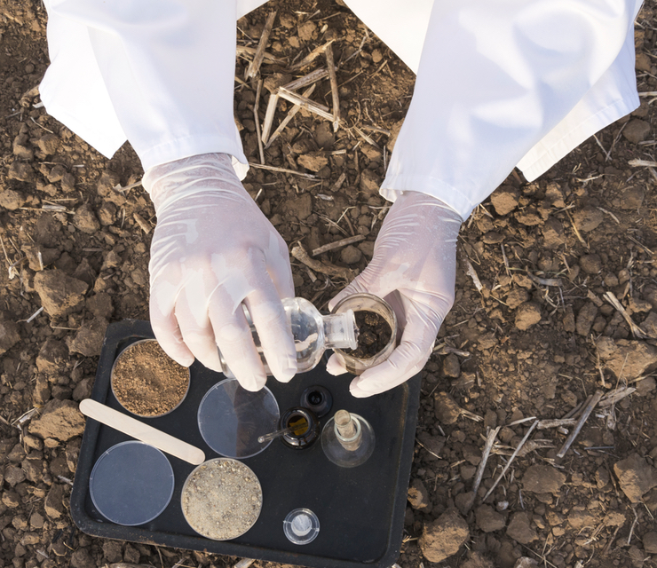 A researcher pours a liquid into a breaker containing a soil sample.