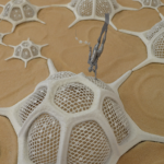 An art piece that demonstrates a coral reef restoration technique developed by scientists.