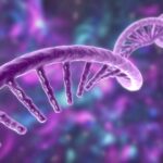 A colorful illustration of a DNA helix.