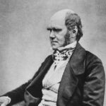 A black and white photo of Charles Darwin dressed formally.