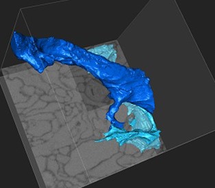 A graphic rendering from a science experiment.