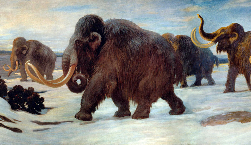 A colorful painting of a wooly mammoth.