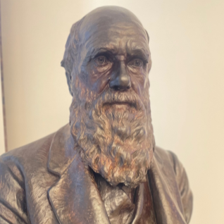 A bronze bust of Charles Darwin.
