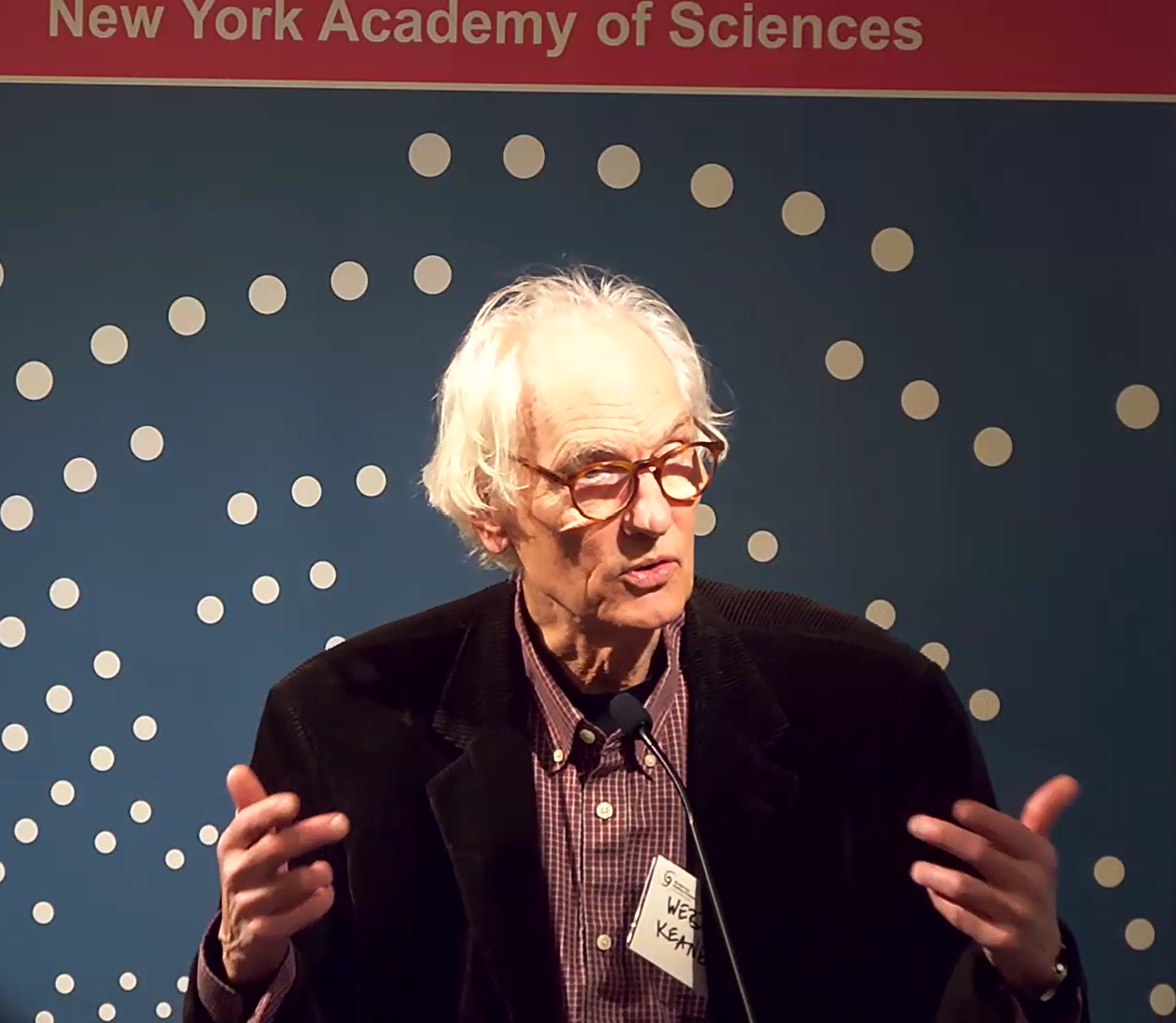 From Tools to Meta Humans: Talking to AI