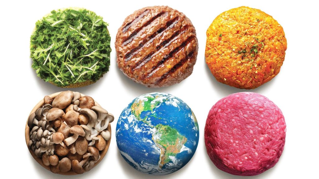 An array of alternative meat options.